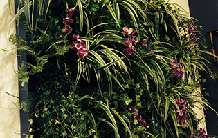 Jardín vertical