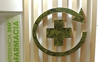 Decoración con musgo natural